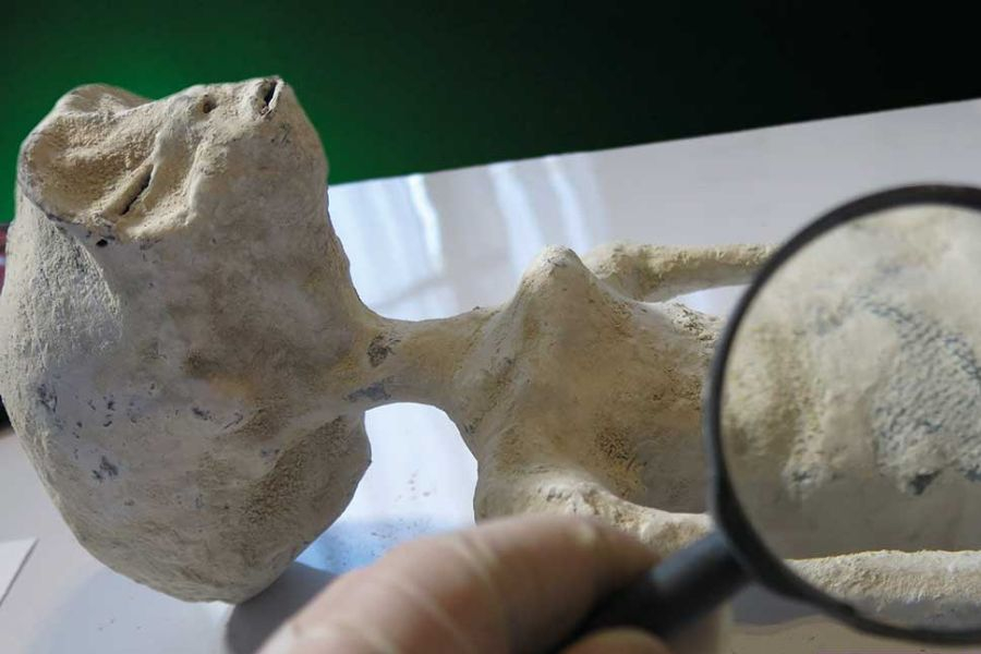 Múmias de Nazca: Descoberta Extraterrestre e Impacto Global | 2023