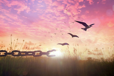 Direito Inato e Interferência: Saúde e Propósito Divino